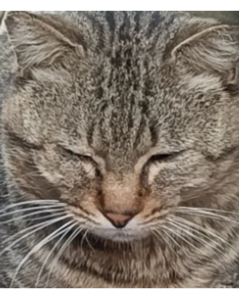 Kouhei